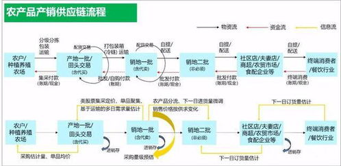 東方鑫達(dá) 全方位打造現(xiàn)代化農(nóng)產(chǎn)品供應(yīng)鏈體系